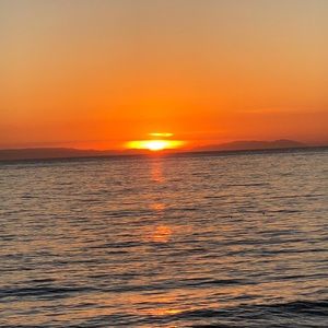 Meet your Posher, Claire